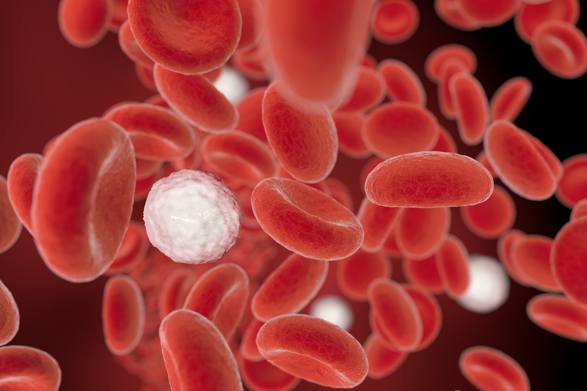 Conoce los efectos del exceso de calcio en la sangre - OseaMx